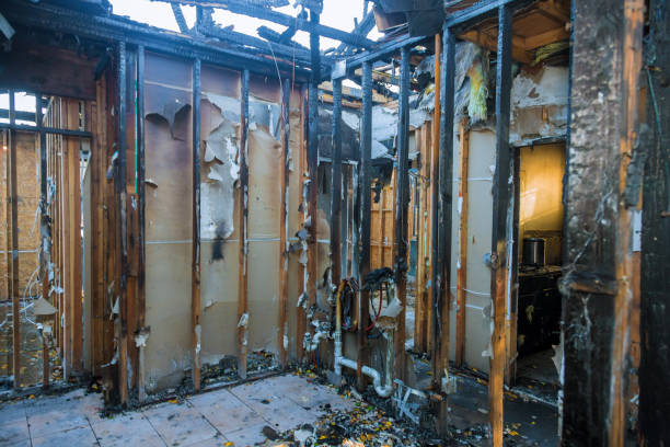 Professional Fire Damage Removal technician working in Bowdon, GA